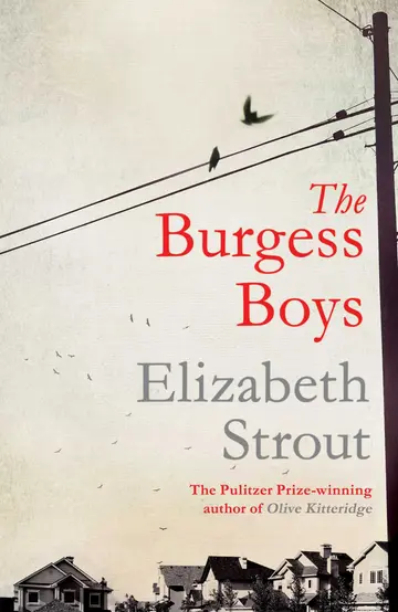 Cover of The Burgess Boys
