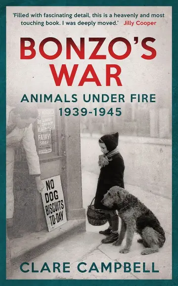 Cover of Bonzo'S War