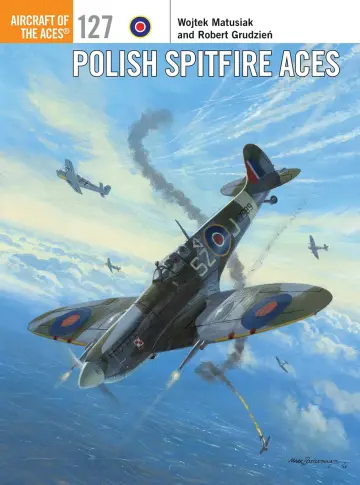 Cover of Polish Spitfire Aces