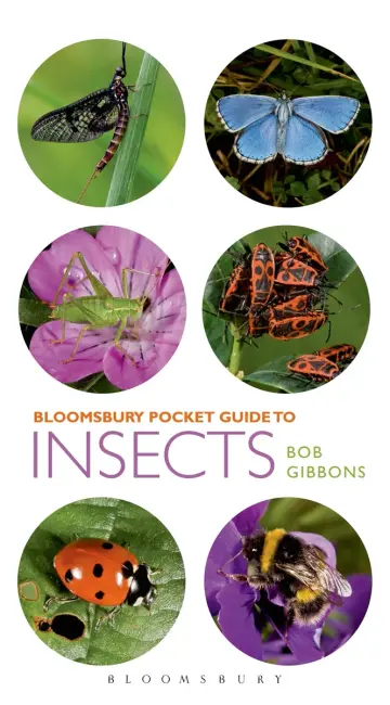 Cover of Pocket Guide to Insects