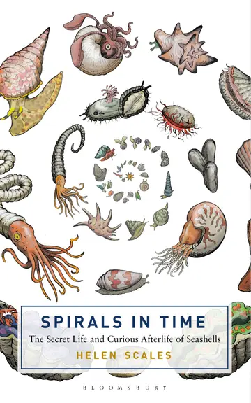 Cover of Spirals in Time