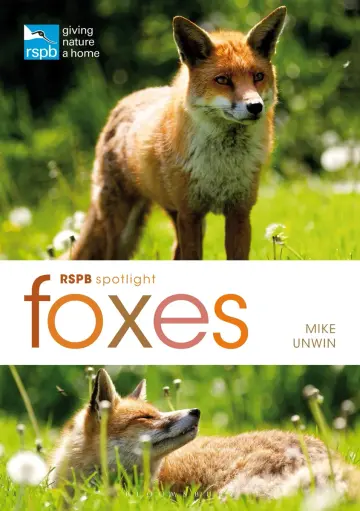 Cover of Foxes