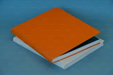 Cover of Risk and Uncertainty in the Art World