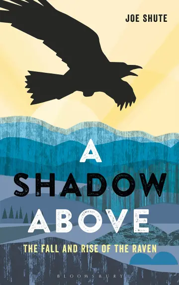 Cover of A Shadow Above