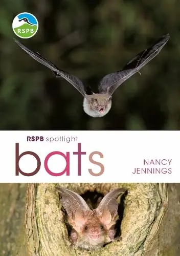 Cover of RSPB Spotlight Bats