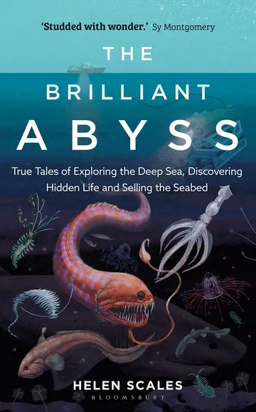 Cover of The Brilliant Abyss