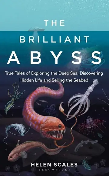 Cover of Brilliant Abyss