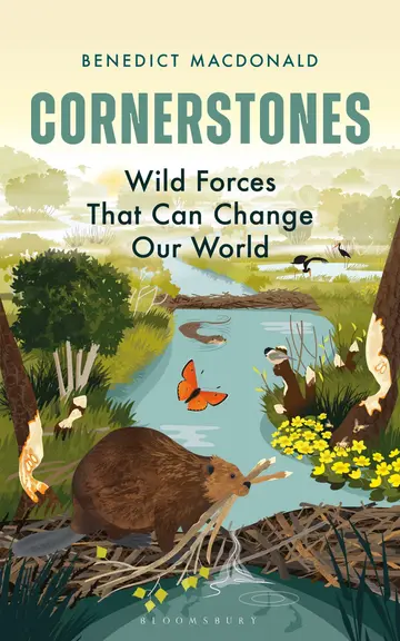 Cover of Cornerstones