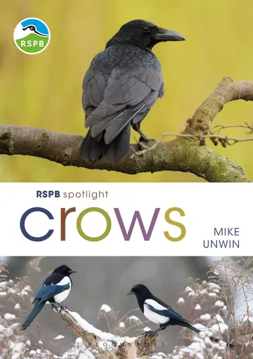 Cover of RSPB Spotlight Crows
