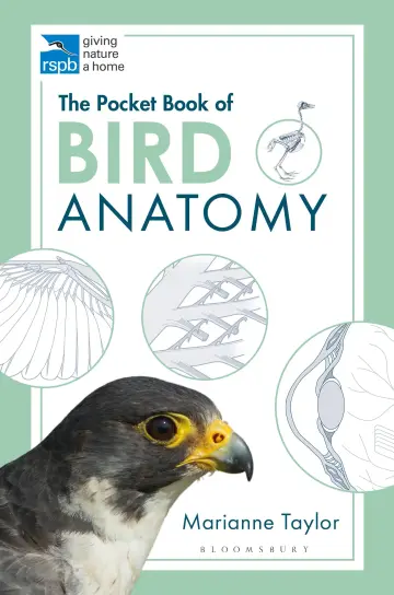 Cover of The Pocket Book of Bird Anatomy