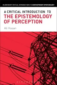 Cover of A Critical Introduction to the Epistemology of Perception