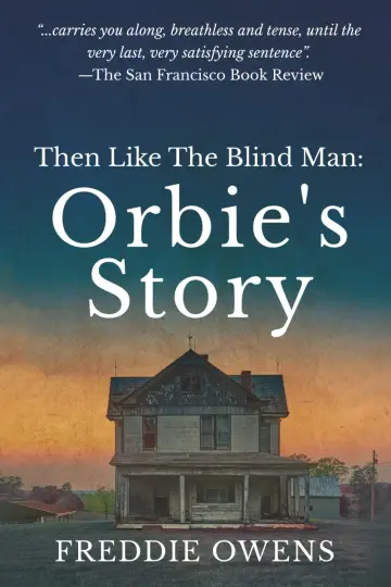 Cover of Then Like the Blind Man
