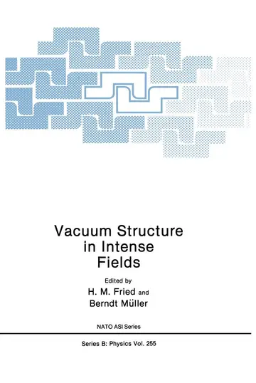 Cover of Vacuum Structure in Intense Fields