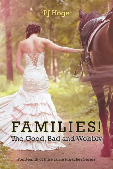 Cover of Families! the Good, Bad and Wobbly