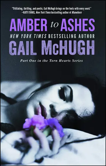 Cover of Amber to Ashes