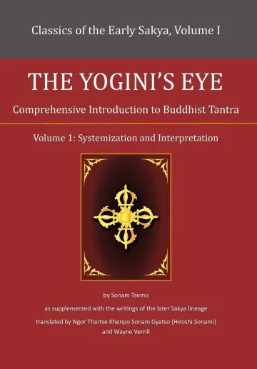 Cover of The Yogini's Eye