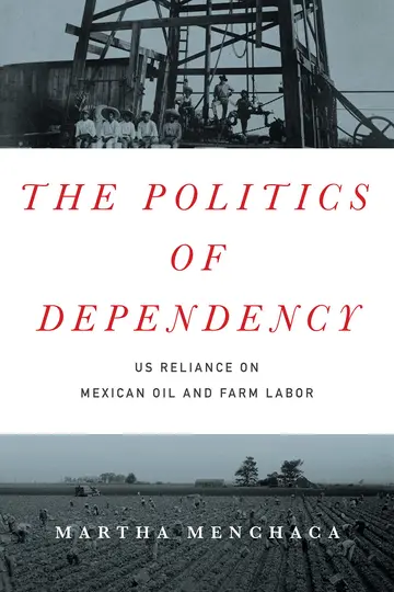 Cover of The Politics of Dependency