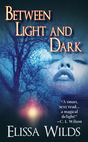 Cover of Between Light and Dark