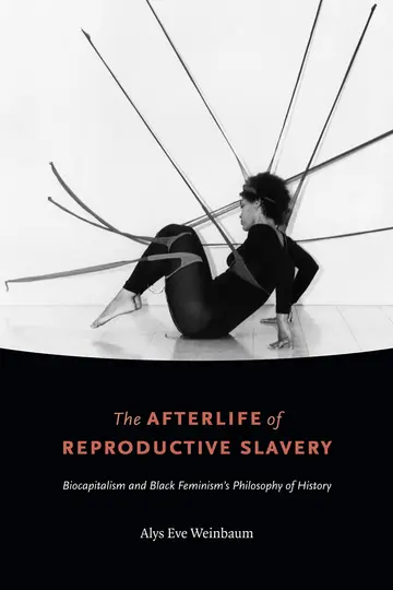 Cover of The Afterlife of Reproductive Slavery
