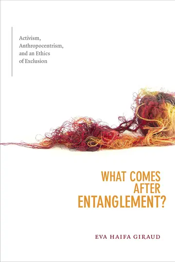 Cover of What Comes after Entanglement?