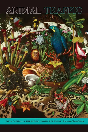 Cover of Animal Traffic