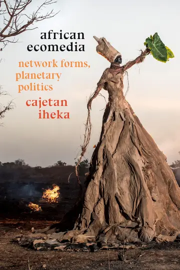 Cover of African Ecomedia