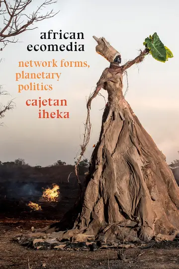 Cover of African Ecomedia