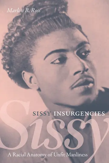 Cover of Sissy Insurgencies