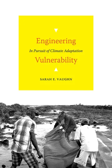 Cover of Engineering Vulnerability