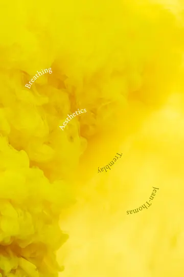 Cover of Breathing Aesthetics