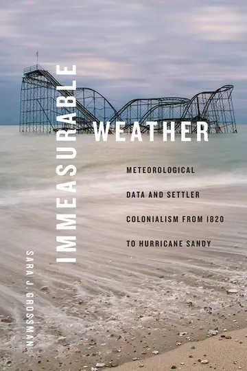 Cover of Immeasurable Weather