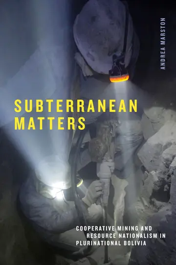 Cover of Subterranean Matters