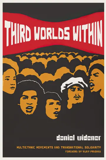 Cover of Third Worlds Within