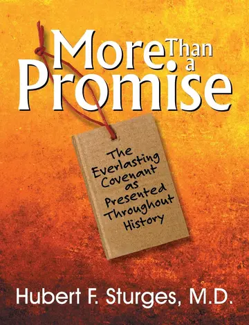 Cover of More Than a Promise