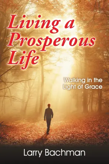 Cover of Living a Prosperous Life