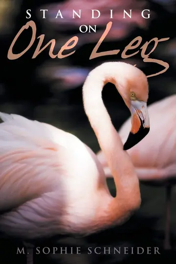 Cover of Standing on One Leg