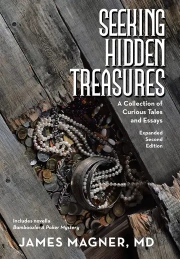 Cover of Seeking Hidden Treasures