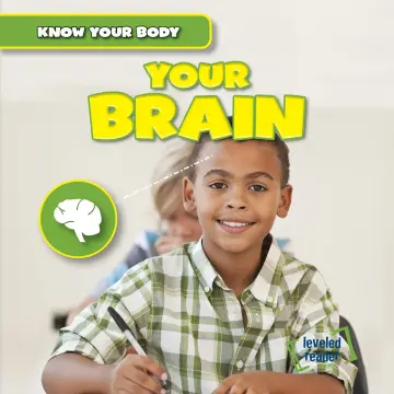 Cover of Your Brain
