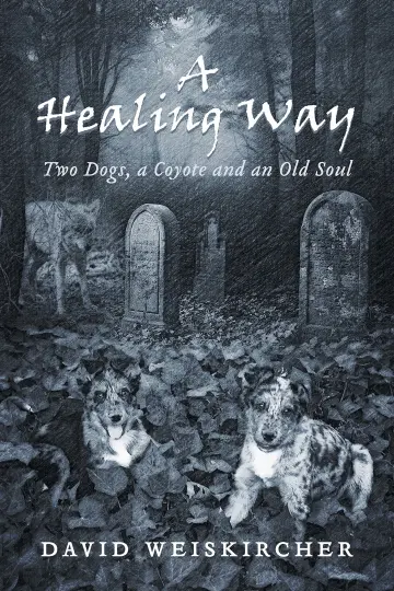 Cover of A Healing Way