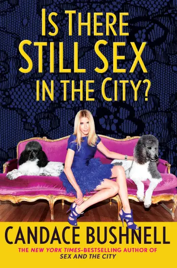 Cover of Is There Still Sex in the City?