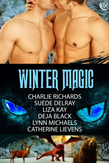 Cover of Winter Magic
