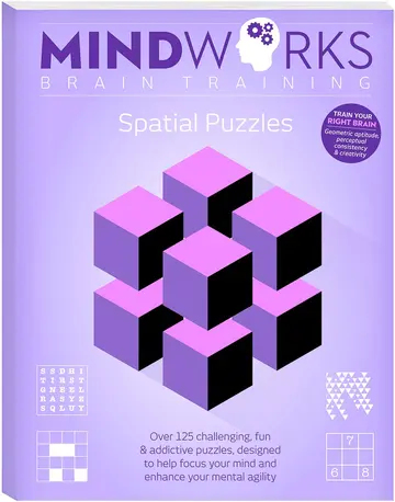 Cover of Spatial Puzzles