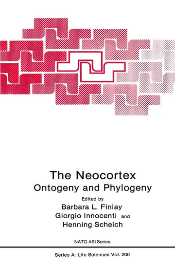 Cover of The Neocortex
