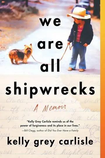 Cover of We Are All Shipwrecks
