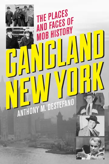 Cover of Gangland New York