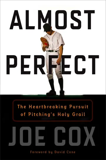 Cover of Almost Perfect