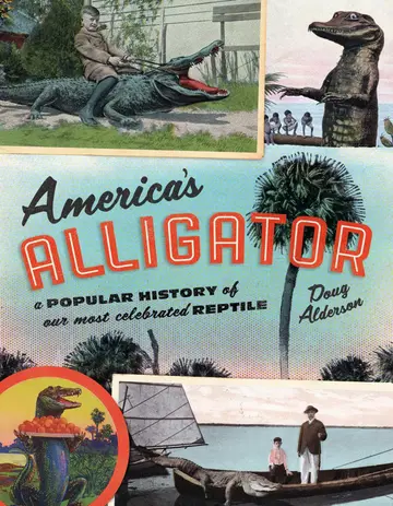 Cover of America's Alligator