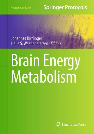 Cover of Brain Energy Metabolism