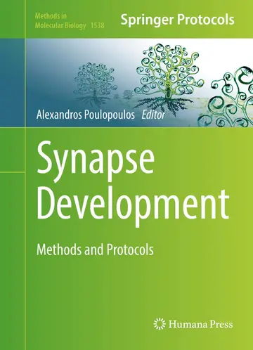 Cover of Synapse Development