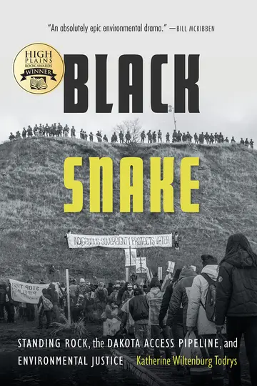 Cover of Black Snake